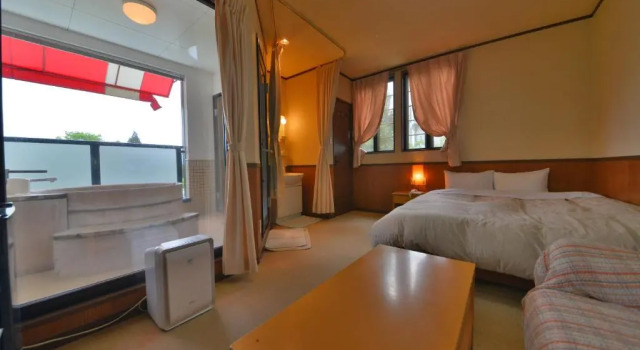 Двухместный номер Standard Hotel Euro City