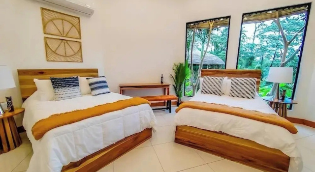 Arenal Palms