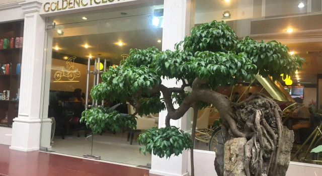 Golden Cyclo Hotel, Book Hotel Hoteller i Ha Noi Municipality med parkering, Parkering