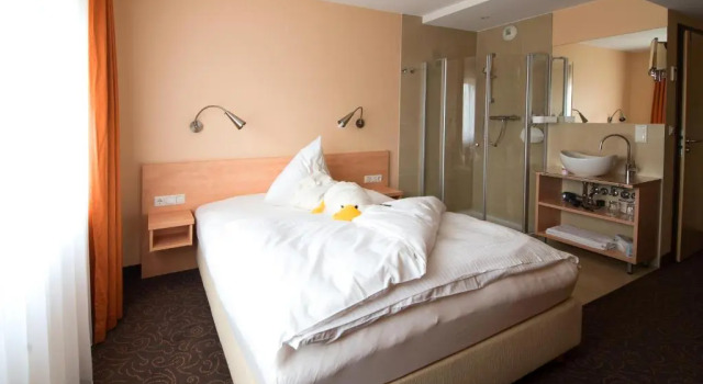 Двухместный номер Standard Mein SchlossHotel