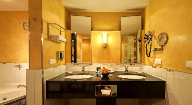 Люкс Deluxe Dorint Charlottenhof Halle