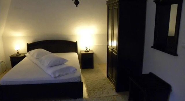 Pensiunea Irina, Đặt Khách sạn Khách sạn 3 sao ở Botuş, 3*