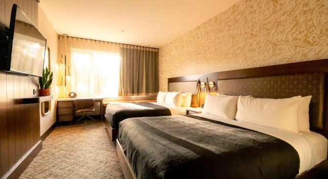 Номер Standard Hotel Zed Tofino