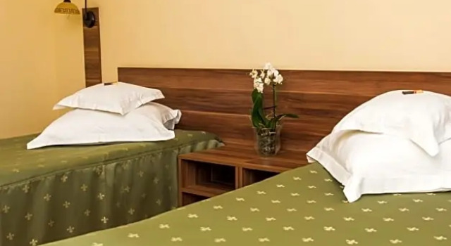 Двухместный номер Standard Hotel Lyra