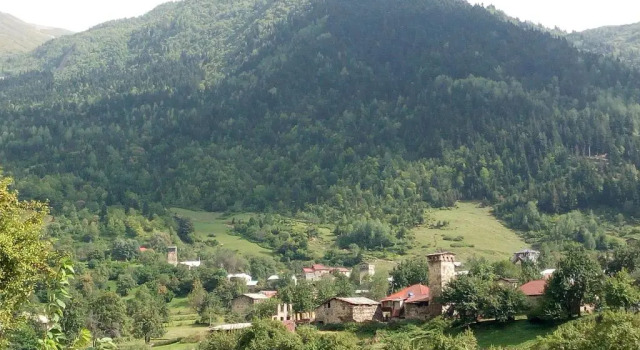 Номер Standard Guesthouse MAMUKA zhabesh