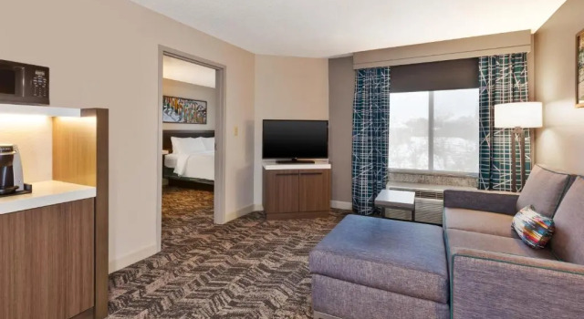 Двухместный люкс c 1 комнатой Hilton Garden Inn Minneapolis Maple Grove