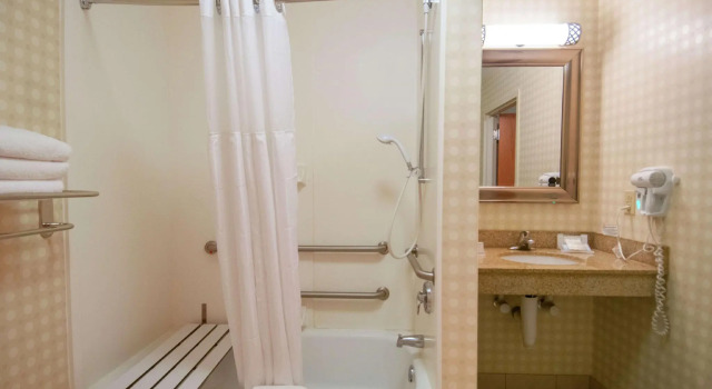 Четырёхместный номер Standard Hilton Garden Inn Jackson/Pearl