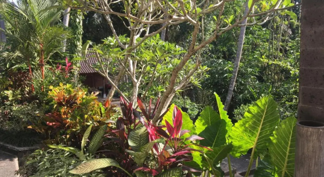 Вилла The Bali Shanti