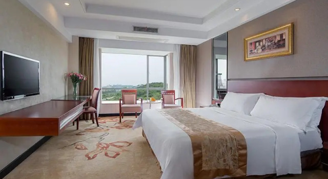 Люкс Deluxe Vienna Hotel Dongguan Houjie Avenue