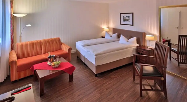 Номер Superior Hotel Elefant
