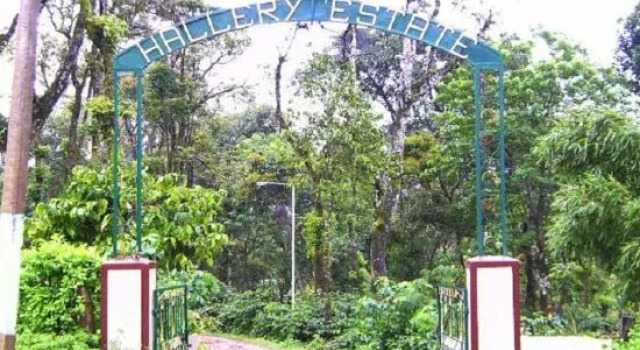 Roxel Inn Charm, Забронировать Отель Мадикери Coorg, рядом с Парк Раджас-Сит