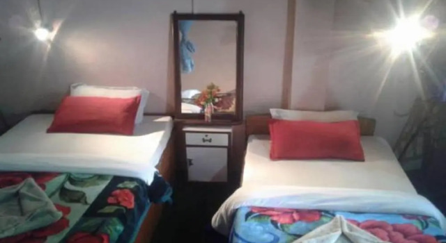 Номер Deluxe Safari Wildlife Lodge & Camp