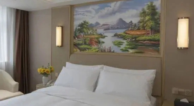 Люкс Vienna Hotel (Tianjin Jinghai Jingwen Road Branch)