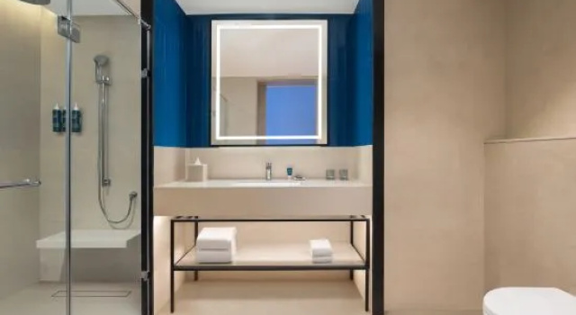 Номер Superior Four Points by Sheraton Nashik