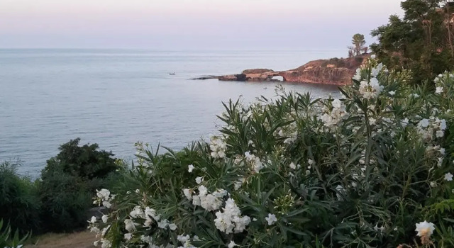 Seeonsea Apartment, Book Apartment Hotels in Sicily with a Pool, Swimming Pool