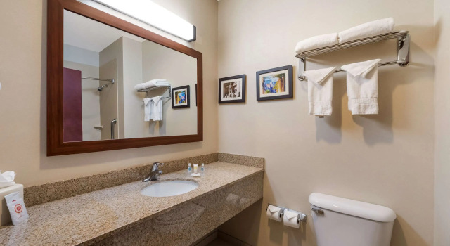 Двухместный люкс Comfort Inn & Suites Las Vegas - Nellis