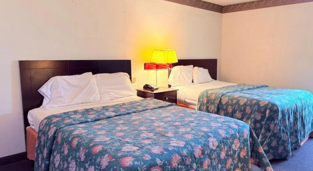 Standard- firedobbelt værelse Executive Inn & Suites Lufkin US 59