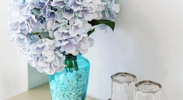 Студия Deluxe We Home Nguyen Trai