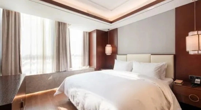Люкс Begonia Hotel