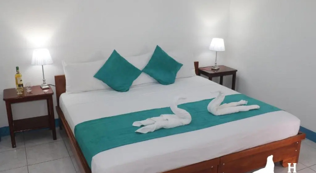Двухместный номер Standard Hostal Arena Negra