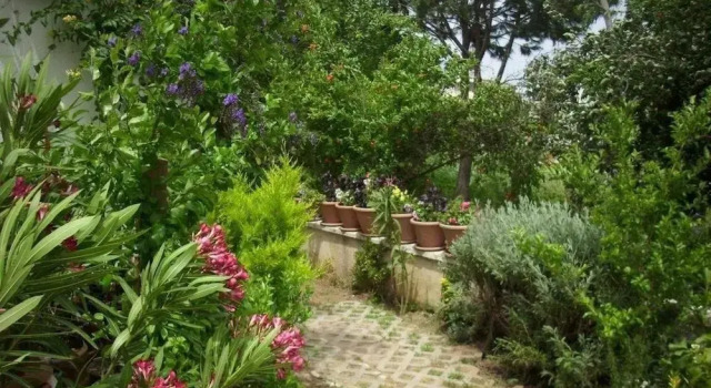 Villa Demirci 6