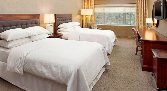 Двухместный номер Standard Sheraton Rockville