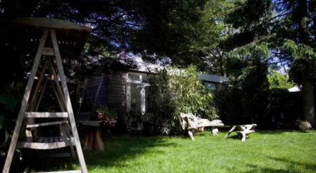Achter het witte huis