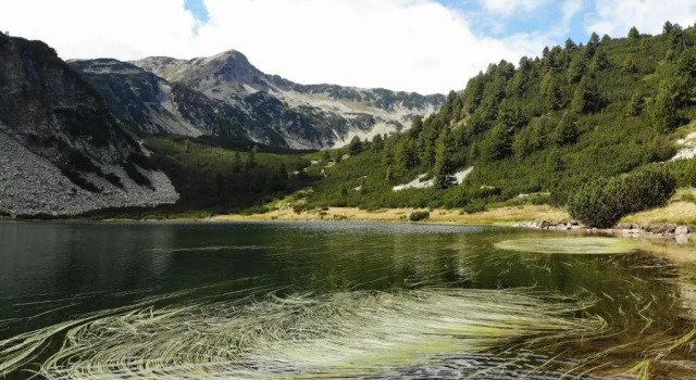 Апартаменты Great location near lift