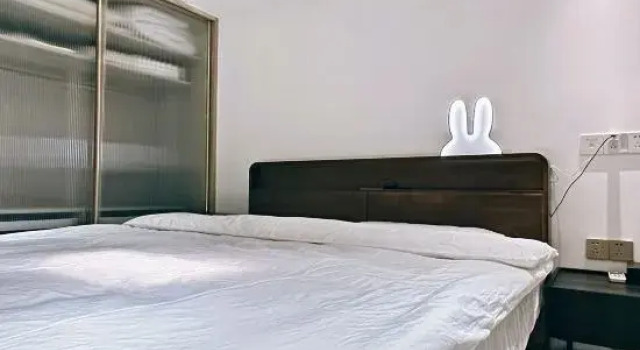 Люкс Дуплекс с 2 комнатами XIYU B&B (Mixc Branch)