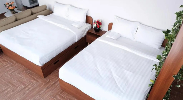 FreeStyle Hotel, Book Hotel Da Lat Lam Dong