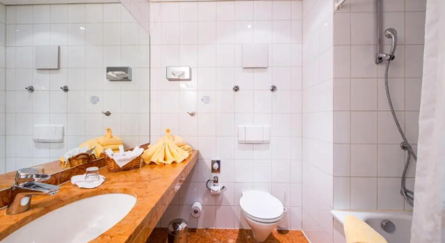 Business dublă cameră Hotel zum Ritter