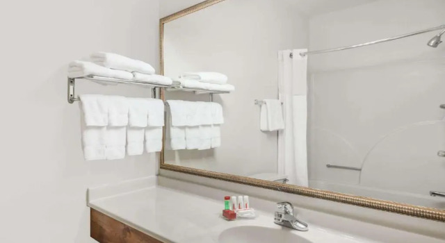 Люкс Ramada by Wyndham Columbia