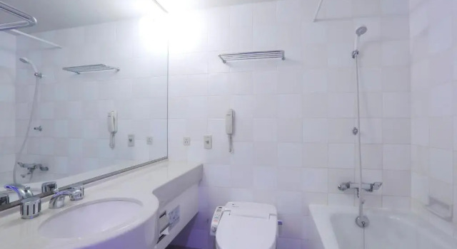Двухместный номер Premium Dai-ichi Hotel Ryogoku