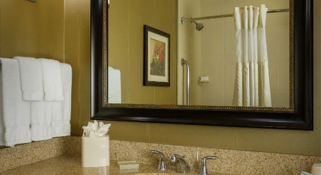 Двухместный номер Standard Hilton Garden Inn Phoenix Airport North