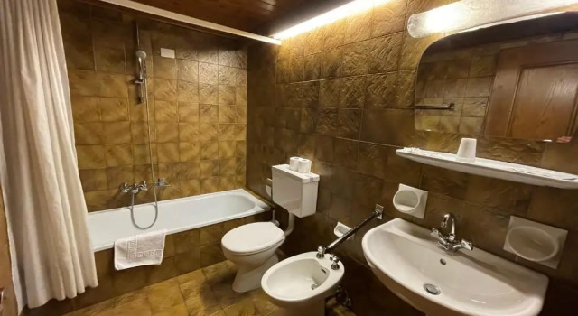 Четырёхместный номер Standard Gasthof Goldenes Lamm