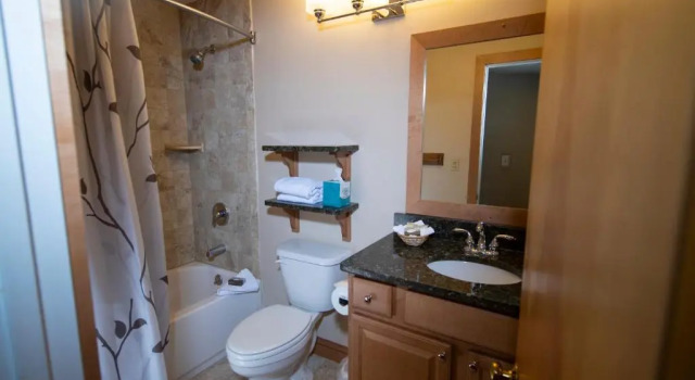 Апартаменты c 1 комнатой Mountain Lodge at Okemo, A Vail Resorts Property