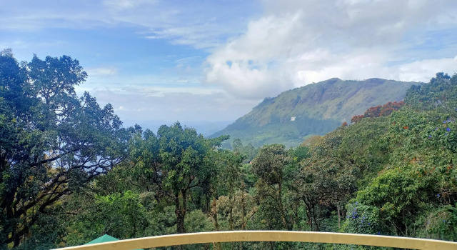 Семейный номер Standard Deshadan Mountain Resort -The highest resort in Munnar