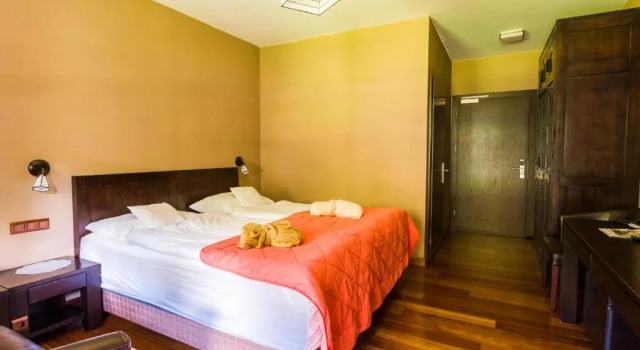 Двухместный номер Standard с балконом Boutique Hotel Sudetia - Medical & SPA