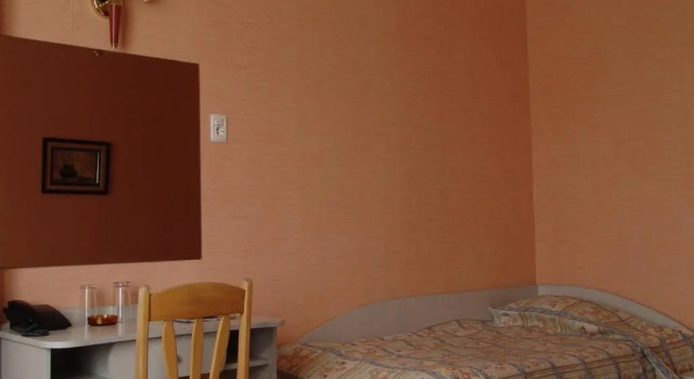 Номер Standard Hotel Zheleznik