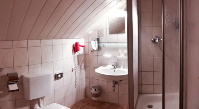 Двухместный номер Standard Landgasthof Probstei Zella