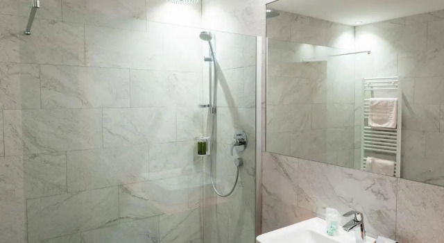 Трёхместный номер Standard Hotel Goldene Rose