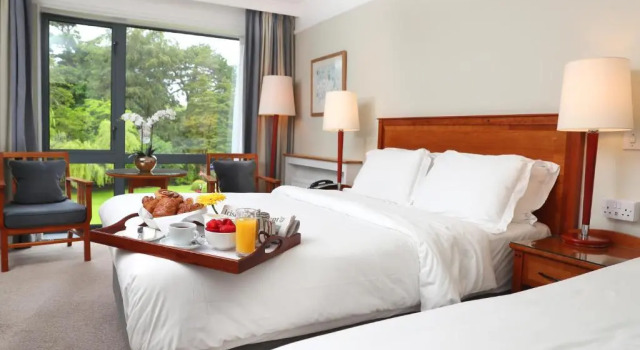 Одноместный номер Standard Ballymascanlon Hotel and Golf Resort