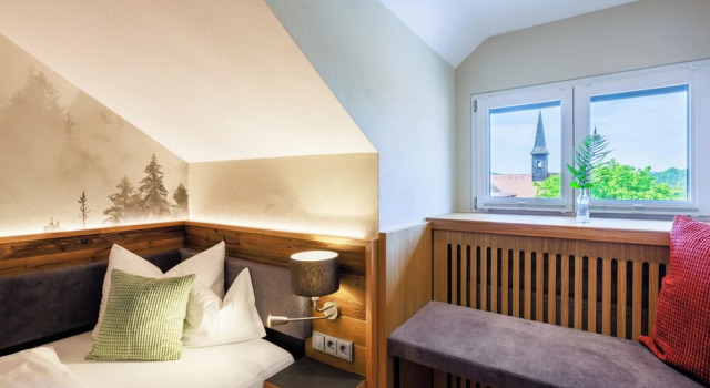 Одноместный номер Standard Hotel zur Post