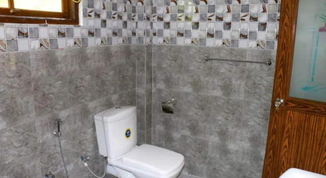 Номер Standard Lavish Eco Jungle