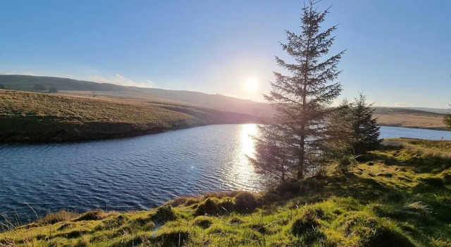 Forester's Retreat Glamping - Cambrian Mountains, Book Campingplads Camping og glamping i Ceredigion, Campingplads