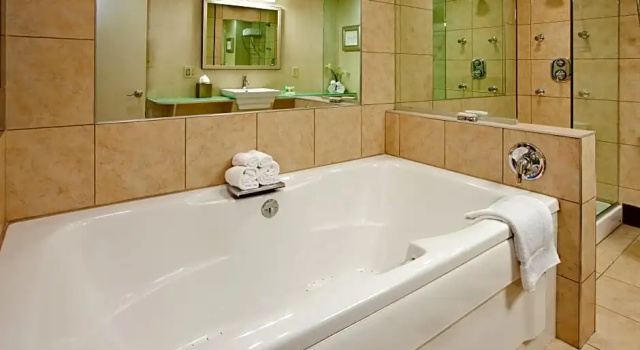 Двухместный люкс Holiday Inn At the Campus by IHG