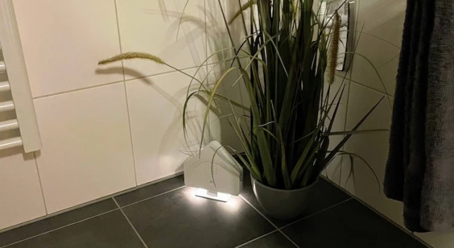 Апартаменты Apartment zur Wiege Anhalts