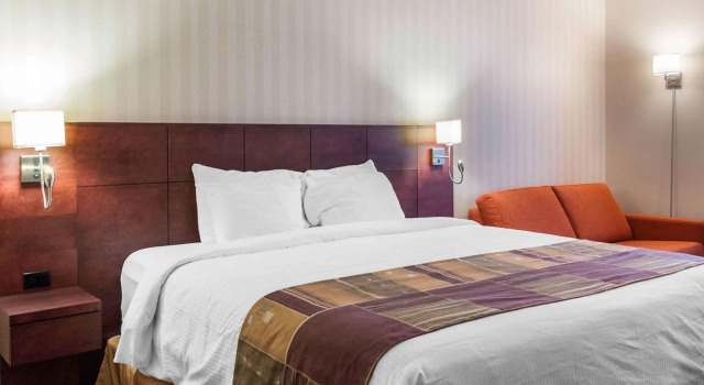 Standardní Dvoulůžkový s manželskou postelí pokoj Hotel Gander