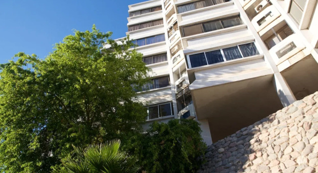 Tranquil View