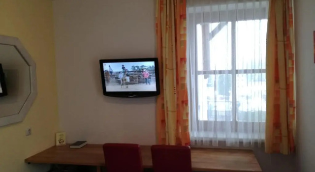 Standardowy jednoosobowy pokój Liezenerhof